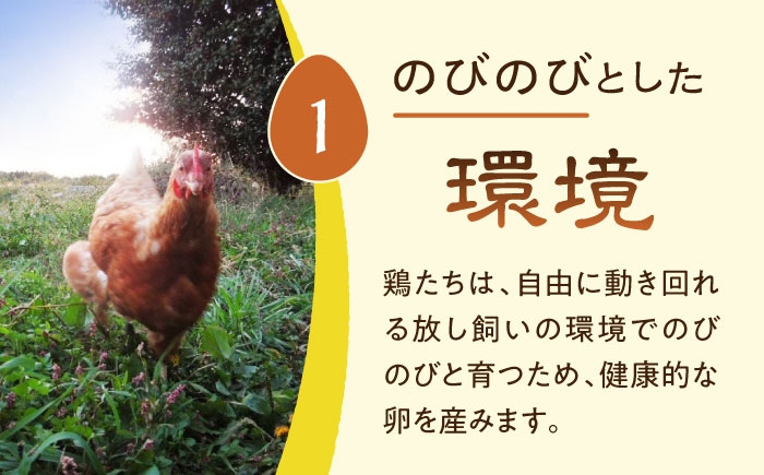安全性に特化した放し飼い自然卵を産まれた当日に生産農場からお届けします。