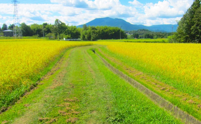 米 ふるさと納税限定 つやひめ つや姫 こめ ツヤヒメ ブランド米 主食 贈答 ギフト おすすめ 人気 岐阜県 恵那市