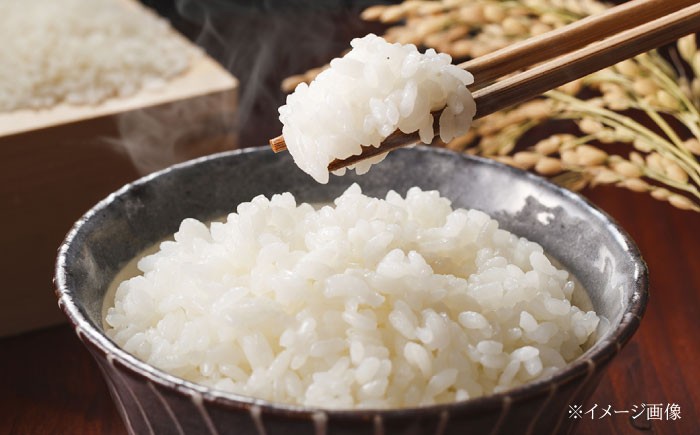 米 ふるさと納税限定 コシヒカリ こめ こしひかり ブランド米 主食 贈答 ギフト おすすめ 人気 岐阜県 恵那市