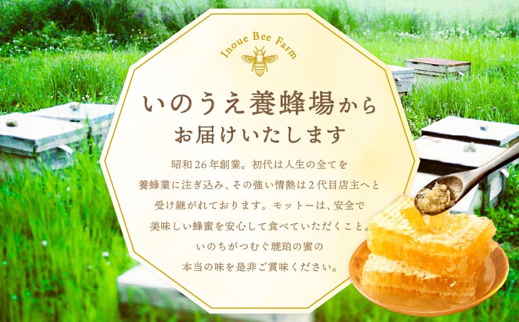 百花蜜 & 蜜柑蜜 セット（各300g） 計600g はちみつ ハチミツ 蜂蜜 【えひめの町（超）推し！（内子町）】（369）