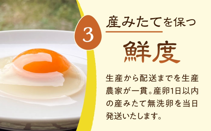 安全性に特化した放し飼い自然卵を産まれた当日に生産農場からお届けします。
