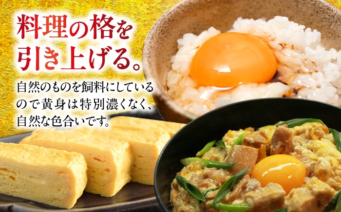 こだわり飼料の高級ブランド卵「名古屋コーチン」を大容量でお届け！