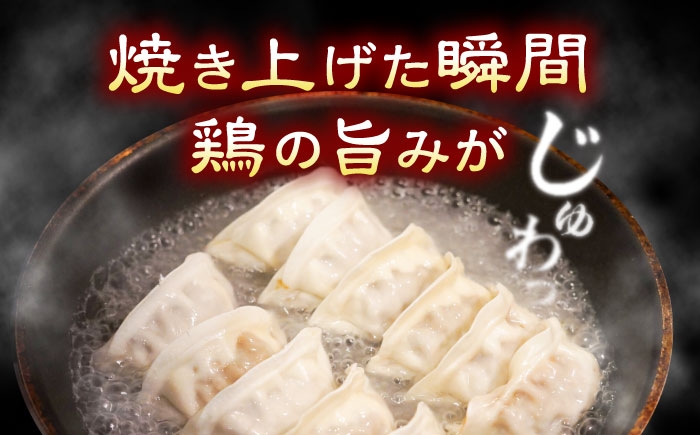 歩荷平飼い親鶏を国産野菜の優しい味わいで包み込んだ箸が止まらぬコク旨冷凍生餃子。