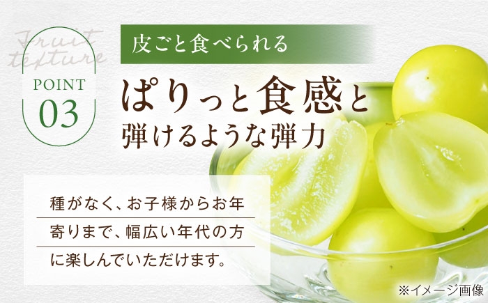 シャインマスカット ブドウ 葡萄 果物 フルーツ シャインマスカット 訳あり 家庭用 ぶどう 葡萄 フルーツ 家庭用 人気