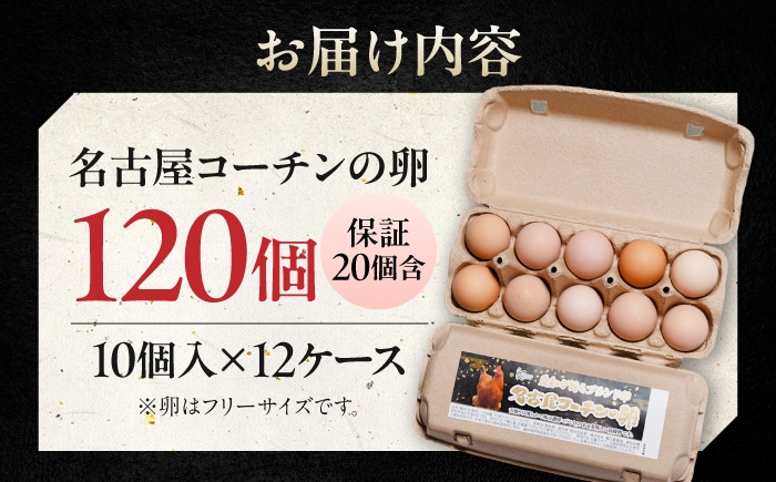 こだわり飼料の高級ブランド卵「名古屋コーチン」を大容量でお届け！