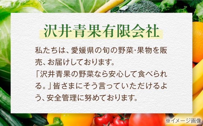 シャインマスカット ブドウ 葡萄 果物 フルーツ シャインマスカット 訳あり 家庭用 ぶどう 葡萄 フルーツ 家庭用 人気