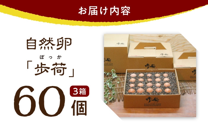 安全性に特化した放し飼い自然卵を産まれた当日に生産農場からお届けします。