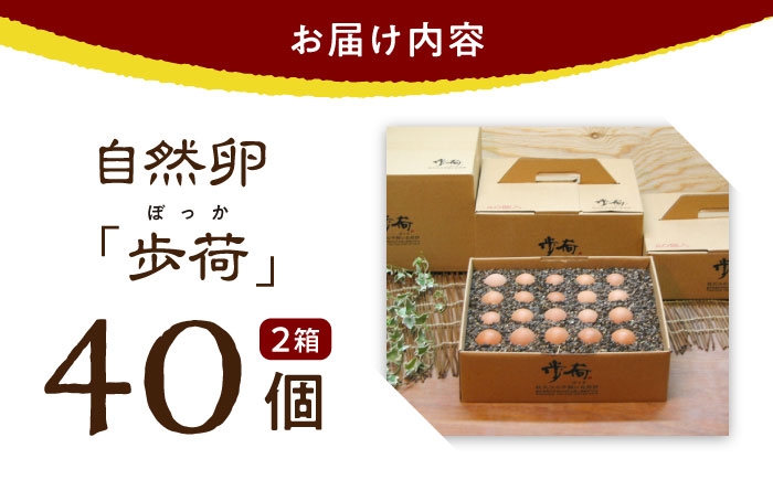 安全性に特化した放し飼い自然卵を産まれた当日に生産農場からお届けします。