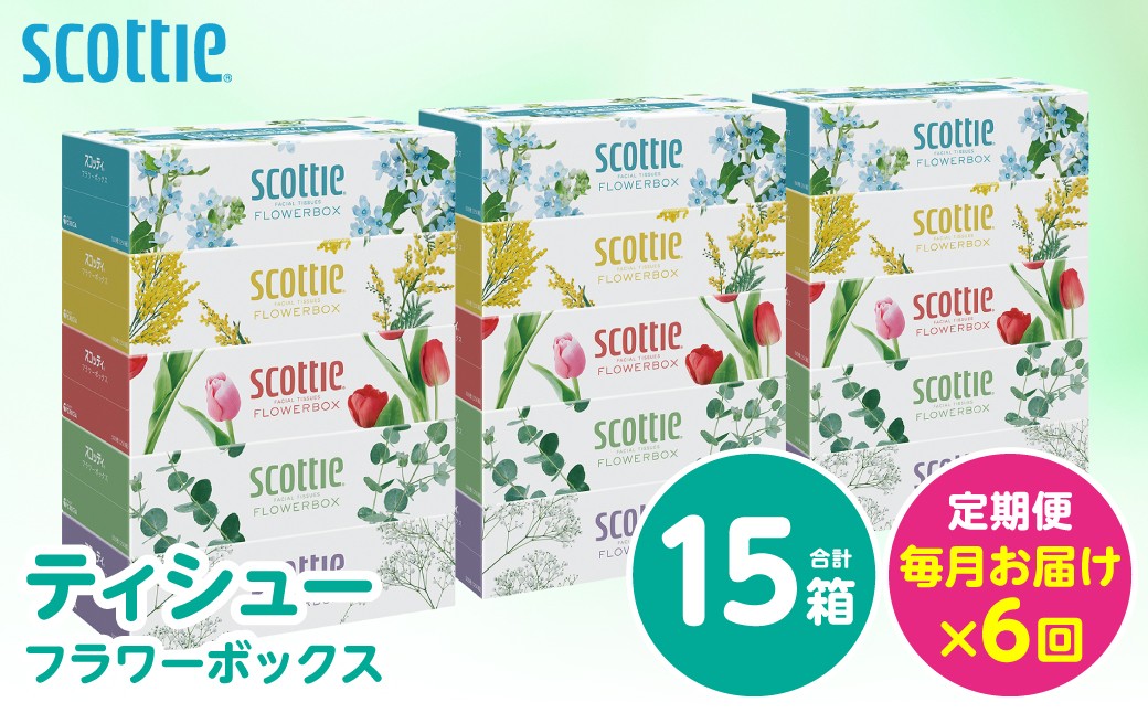【定期便6回】【毎月お届け】【スコッティ】ティシュー フラワーボックス 250組 5箱パック×3セット 合計15箱