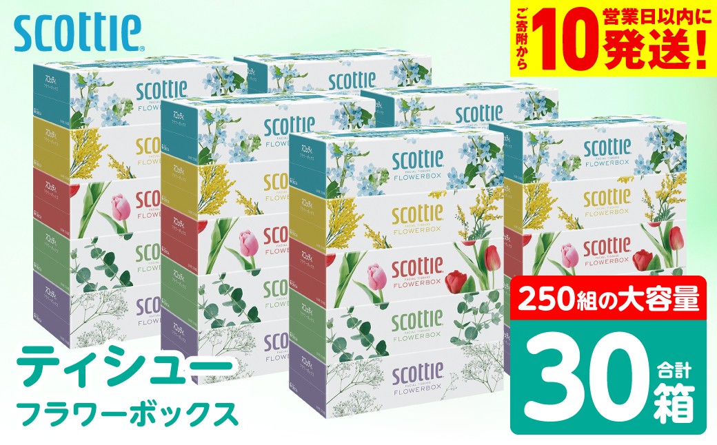 ティシュー フラワーボックス 250組 5箱パック×6セット 合計30箱