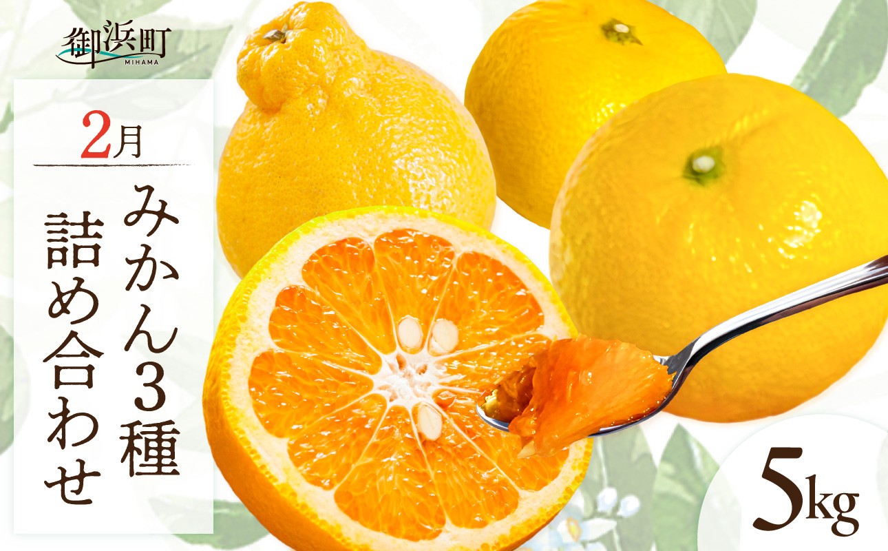 【2027年発送 先行予約品】