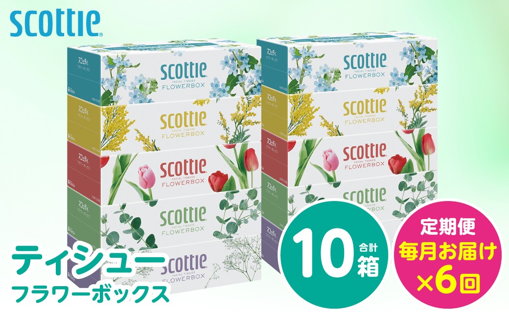 【定期便6回】【毎月お届け】【スコッティ】ティシュー フラワーボックス 250組 5箱パック×2セット 合計10箱