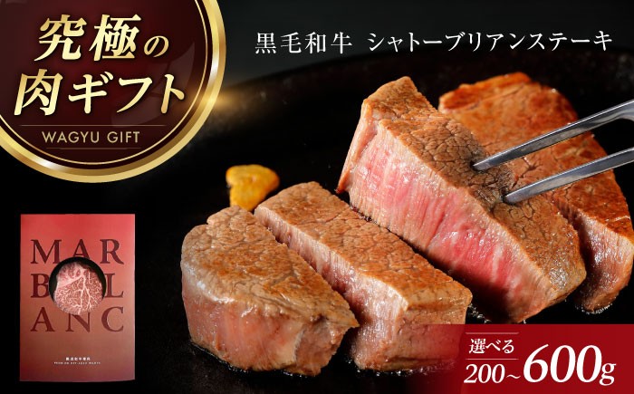 肉 国産 和牛 牛肉 ステーキ 赤身 ステーキ ヒレ フィレ ヒレステーキ シャトーブリアン しゃとーぶりあん ひれ すてーき