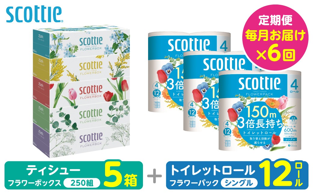 ティシュー フラワーボックス 250組 5箱パック×1セット＋フラワーパック 3倍長持ち4ロール（シングル）4パック ×3セット