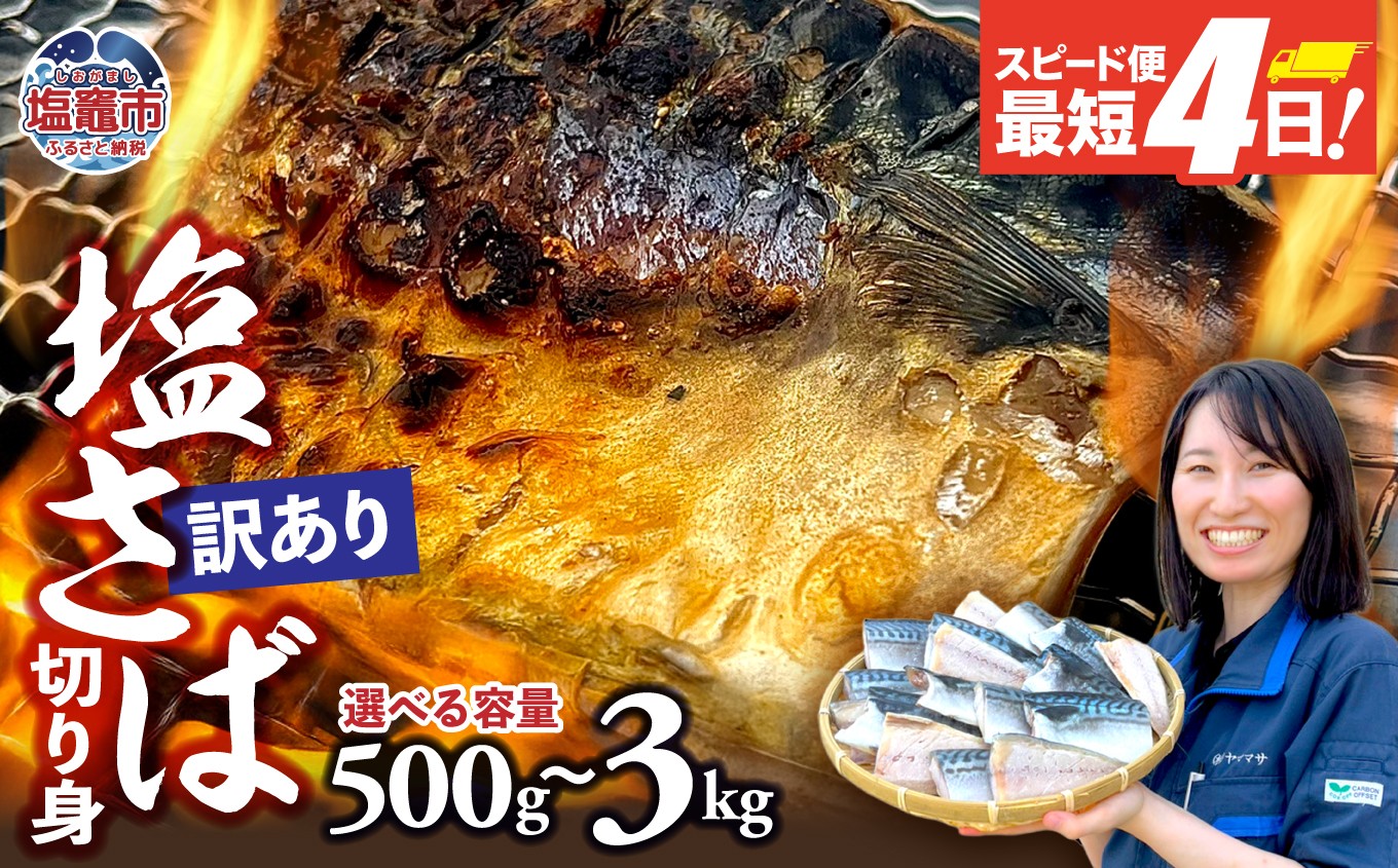 【訳あり】塩さば切身 深層海塩仕込み | ym00013 サバ さば 切り身 鯖 海塩 塩竈市 ヤママサ
