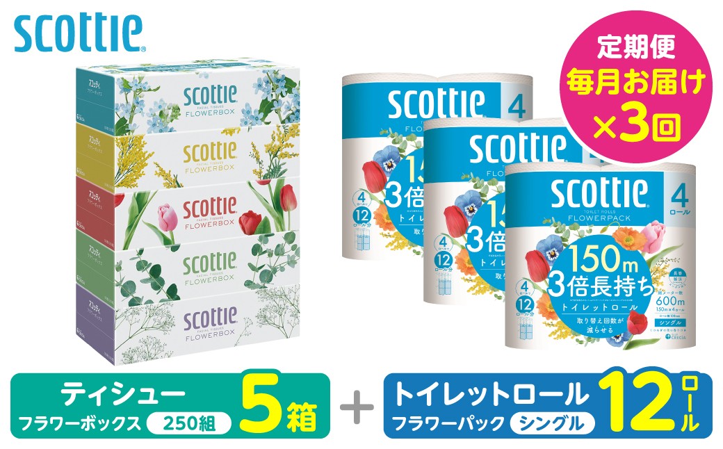 【定期便3回】【毎月1回お届け】【スコッティ】ティシュー フラワーボックス＋フラワーパック 3倍長持ち（シングル）