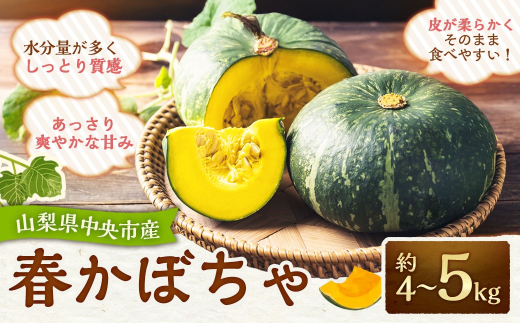 春かぼちゃ 約4～5kg