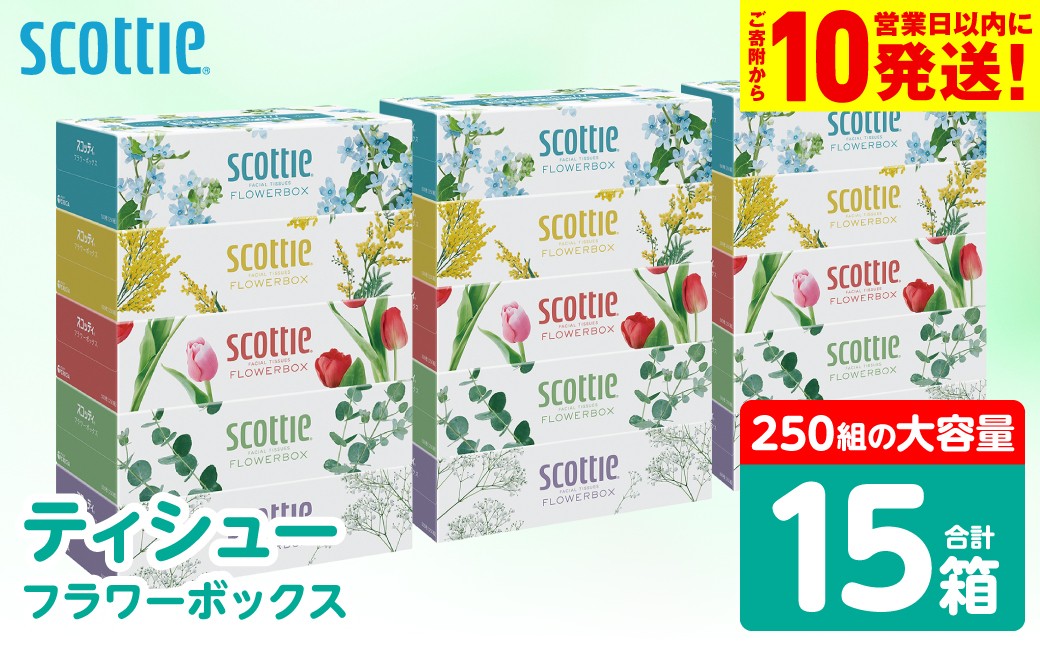 【スコッティ】ティシュー フラワーボックス 250組 5箱パック×3セット 合計15箱