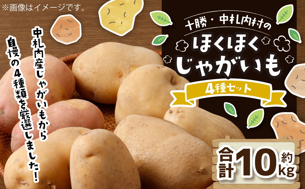 十勝・中札内村のほくほくじゃがいも 4種セット 約10kg