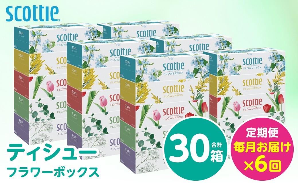 【定期便6回】【毎月お届け】【スコッティ】ティシュー フラワーボックス 250組 5箱パック×6セット 合計30箱