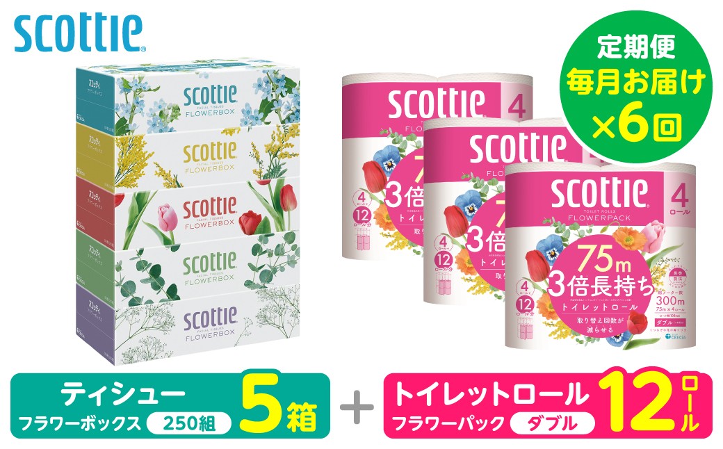 ティシュー フラワーボックス 250組 5箱パック×1セット＋フラワーパック 3倍長持ち4ロール（ダブル）4パック ×3セット