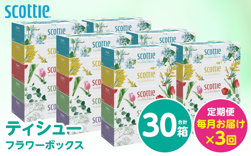 【定期便3回】【毎月お届け】【スコッティ】ティシュー フラワーボックス 250組 5箱パック×6セット 合計30箱