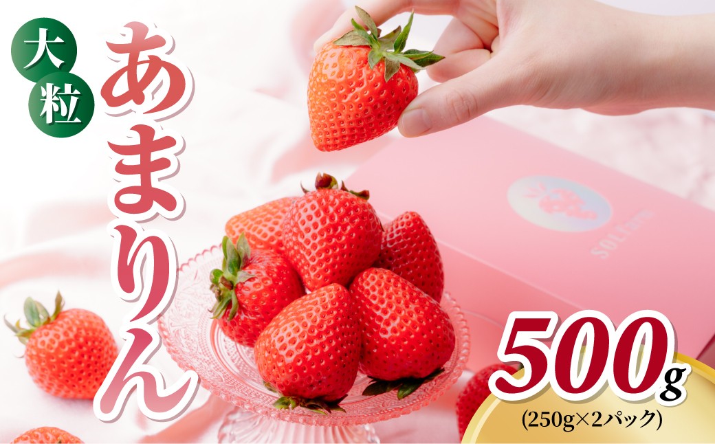 いちご【先行予約】あまりん 2パック 約500g