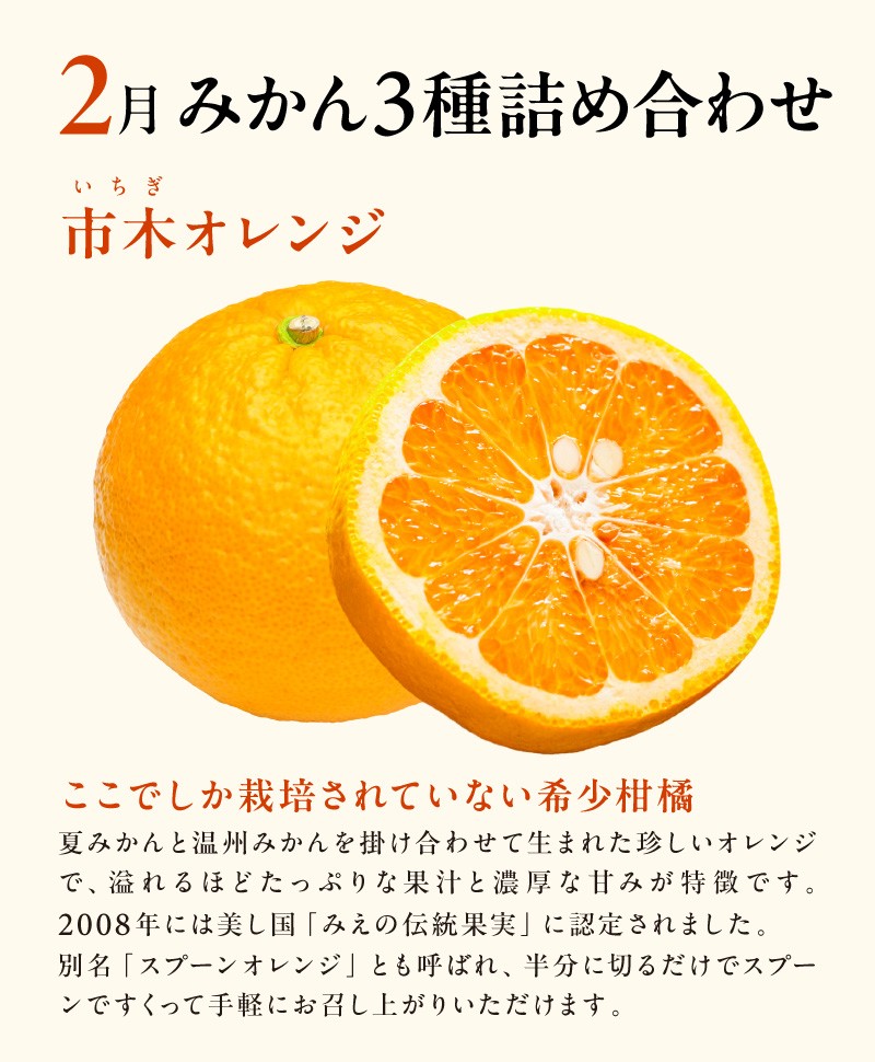 【2027年発送 先行予約品】