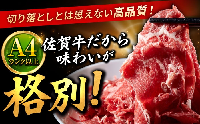 佐賀牛 切り落とし 400g × 2パック 計 800g | 牛肉 小分け 佐賀牛 切り落とし |