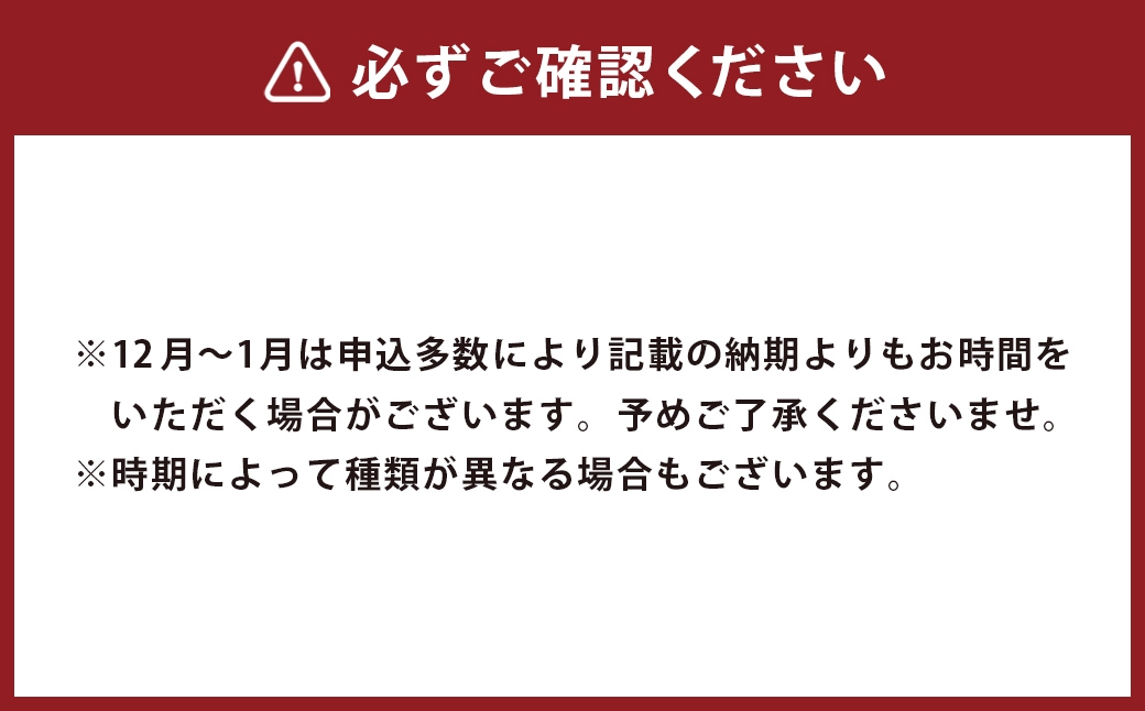 手作りアイス 8個セット デザート スイーツ ジェラート シャーベット