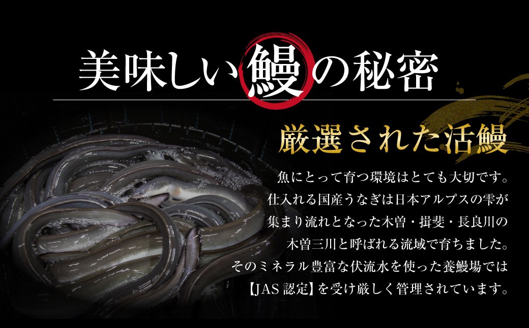 王鉄興業　木曽三川うなぎ長焼きセット