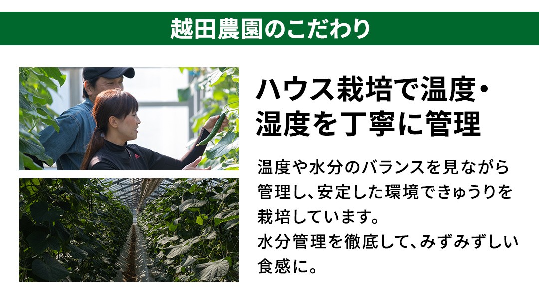越田さんご夫婦