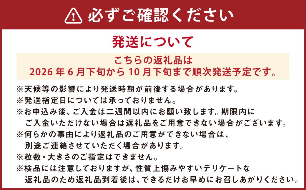 ミニトマト 「北海道ルビー」 （1kg）とミニトマトジュース（200ml×5本）セット