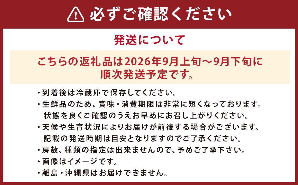 ぶどう 3種 詰め合わせ