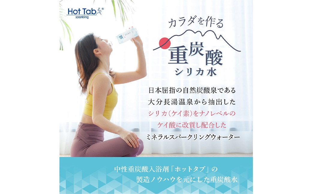 重炭酸シリカ水 500ml×24本入×2