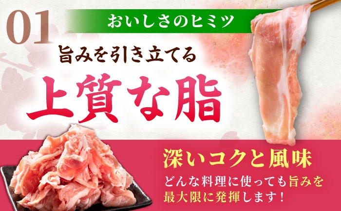 肥前さくらポーク 切り落とし 500g × 2パック 計 1kg  | 豚肉 肥前さくらポーク 切り落とし 国産 豚 小分け|