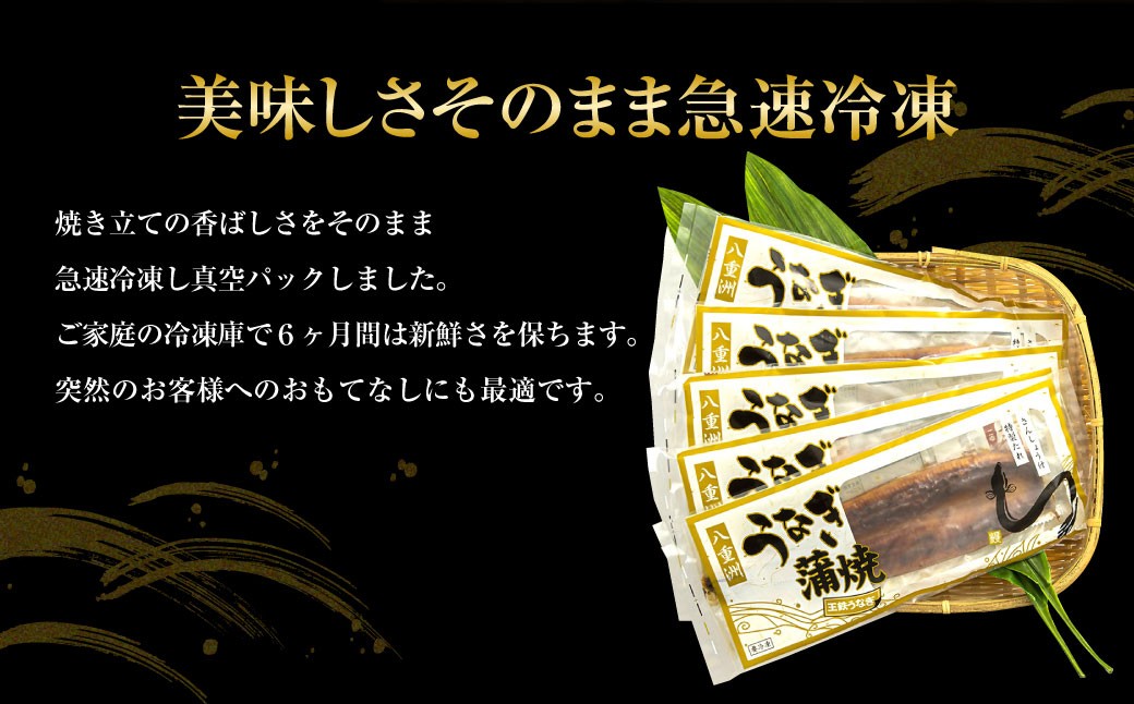 王鉄興業　木曽三川うなぎ長焼きセット