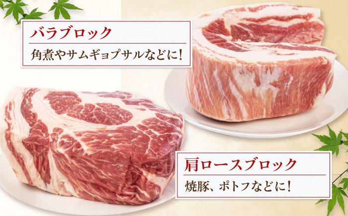  肉 豚肉 ブロック ステーキ ステーキ用 ロース ロースステーキ 