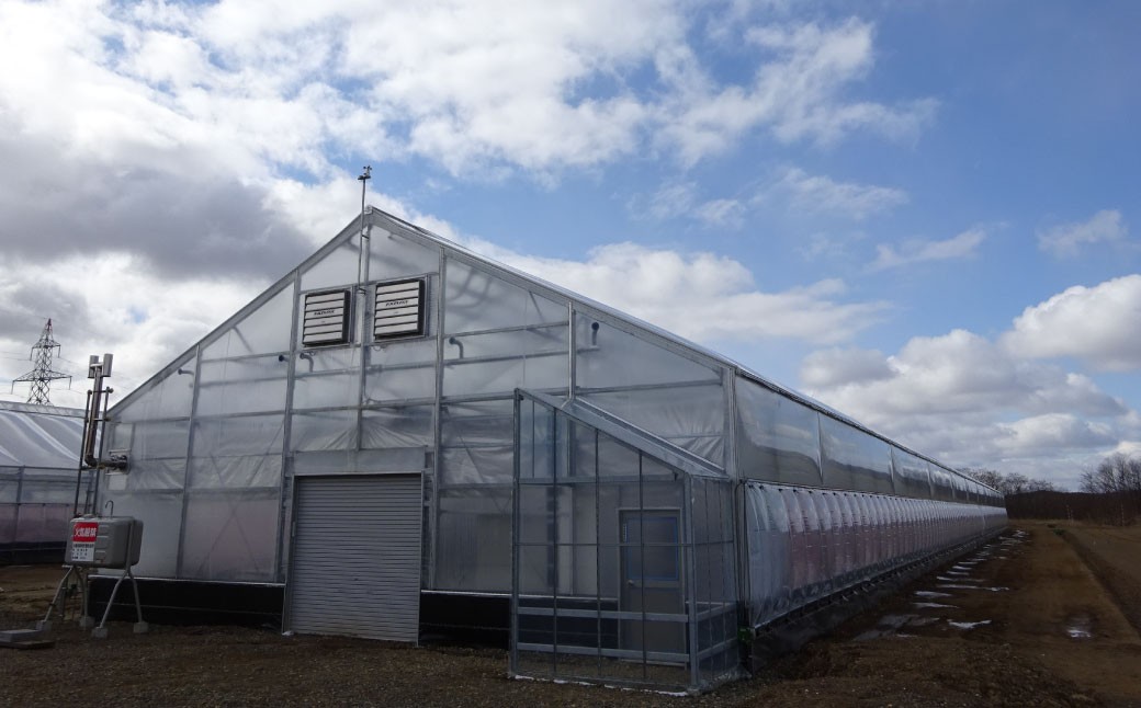 ミニトマト 「北海道ルビー」 （1kg）とミニトマトジュース（200ml×5本）セット