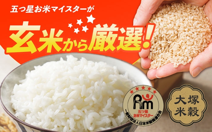 特A獲得！さがびより 無洗米 6kg（3kg×2袋） | ご飯 ごはん 米 お米