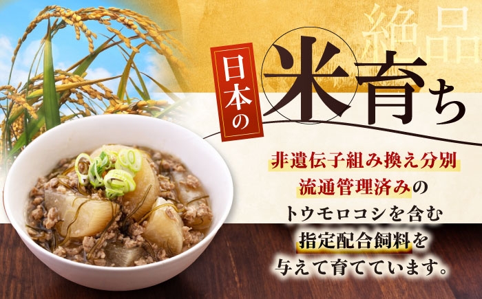 三元豚 ロースブロック600g・ひき肉300g 肉 豚肉 ブロック ステーキ ステーキ用 ロース