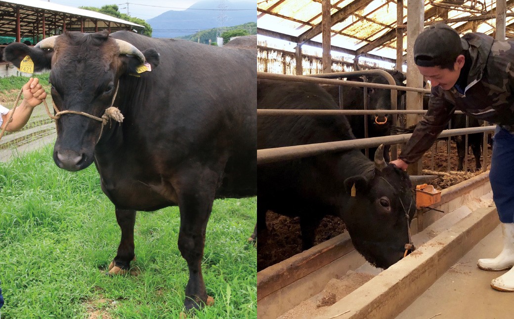 【3ヶ月定期便】博多和牛100％ 贅沢本格手ごねハンバーグ 150g×10個（計1.5kg）