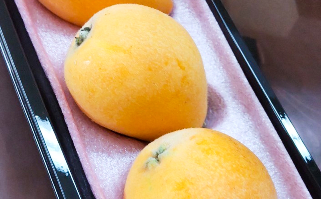 うずまきもなかアイス10個セット