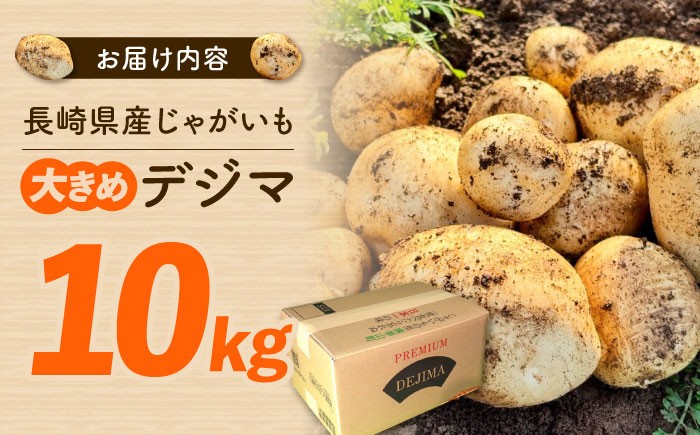 デジマ じゃがいも ジャガイモ 春作 新じゃが 長崎 国産 野菜 旬 家庭用 長崎 雲仙 南串山