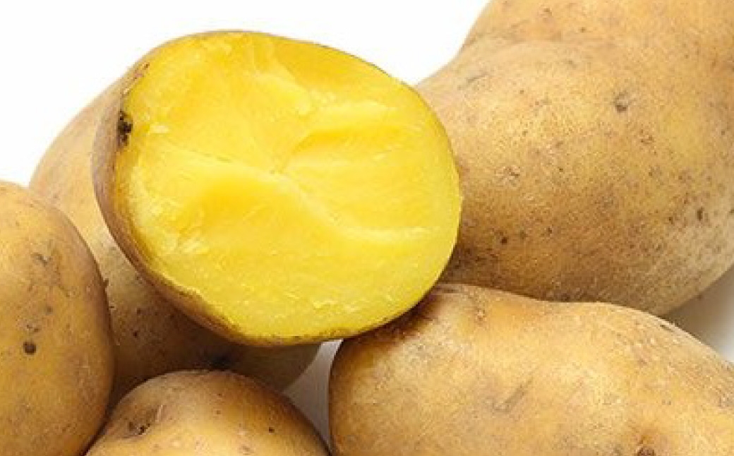 十勝・中札内村のほくほくじゃがいも 4種セット 約10kg