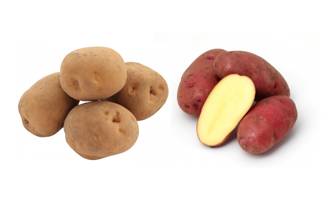 十勝・中札内村のほくほくじゃがいも 4種セット 約10kg