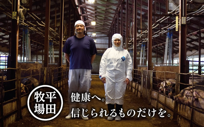  肉 豚肉 ブロック ステーキ ステーキ用 ロース ロースステーキ バラ 