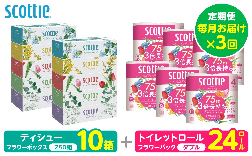 【定期便3回】【毎月1回お届け】【スコッティ】ティシュー フラワーボックス＋フラワーパック 3倍長持ち（ダブル）