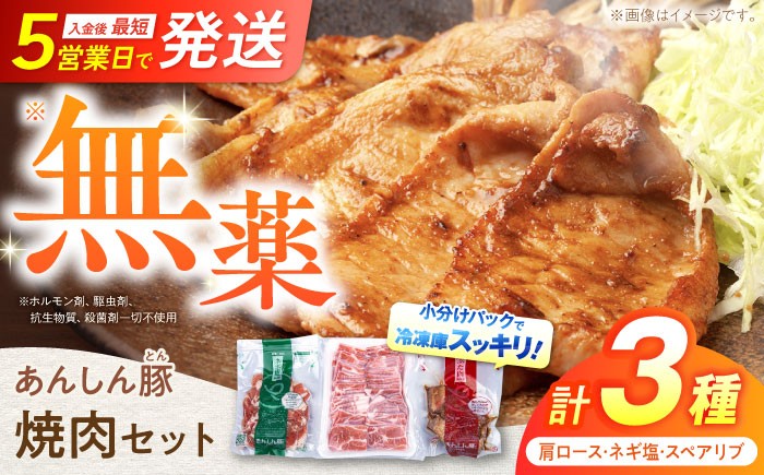 調理されたあんしん豚の焼き肉セット。焼肉用のカタロース、ネギ塩を、味付けスペアリブの計3種類をお届けする返礼品でございます。焼肉