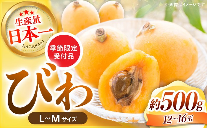 びわ ビワ 枇杷 季節もの フルーツ 果物 